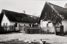 Bauernhaus mit Gänsen