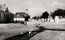 Dorfplatz mit Gänsen