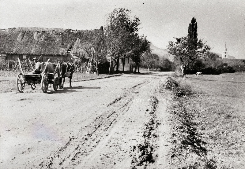 Ortsansicht mit Ochsemwagen - Ortsansicht mit Ochsemwagen.jpg Ortsansicht mit Ochsemwagen.jpg