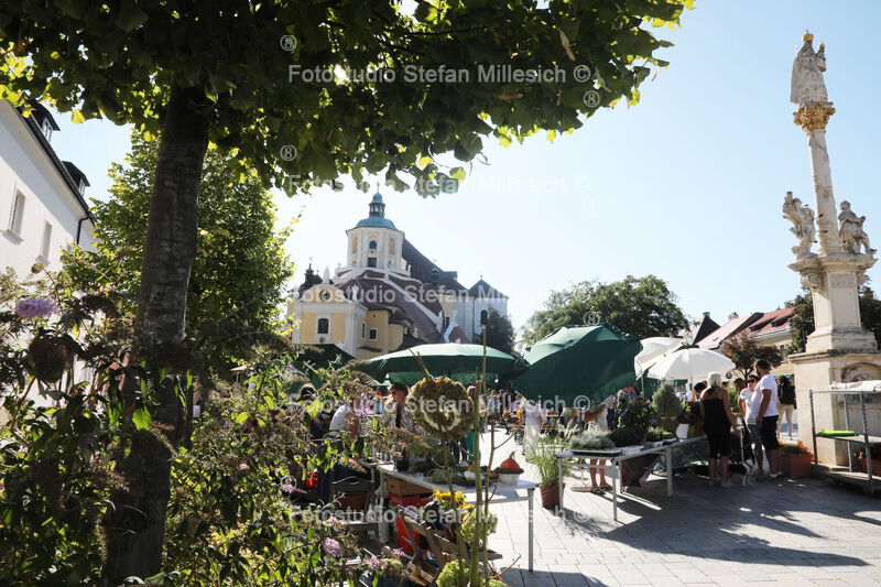 Markt 002