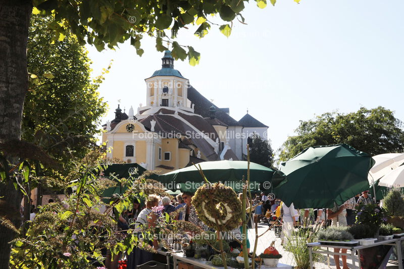 Markt 003
