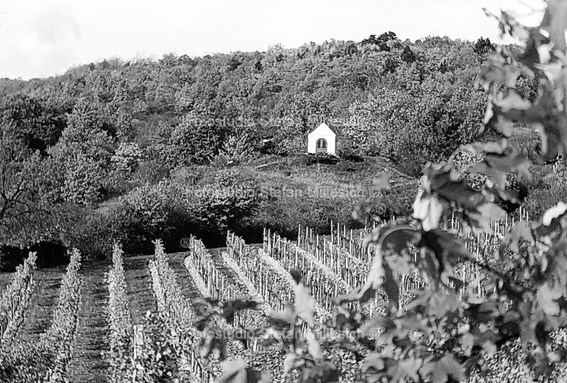 1984.05.00 - 18 - HahE - 0 - 