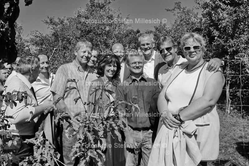 2011 09 10 - 235 - St Georgner Rebe