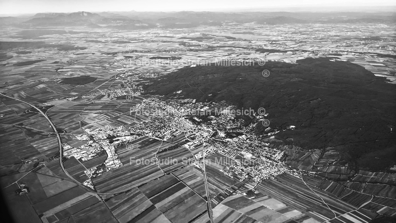 21765855 1532730430105812 5966399319649996756 o