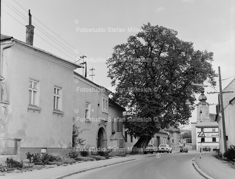 a5eb Hauptstrasse Lindenbaum