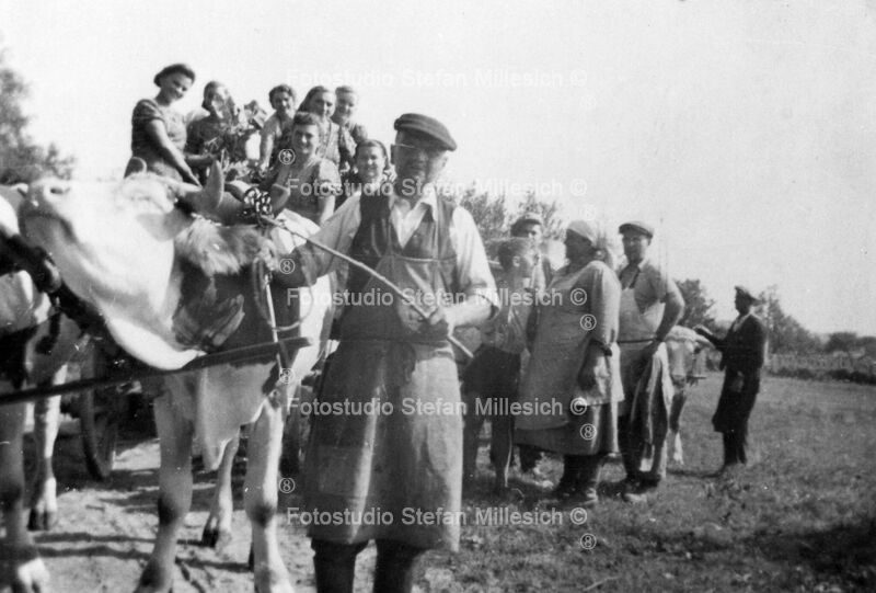 A11 Familie Graf mit Ochsenwagen