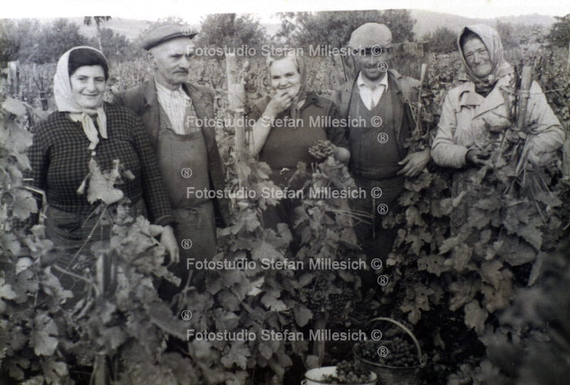 a37c Weinleser Fam Höld