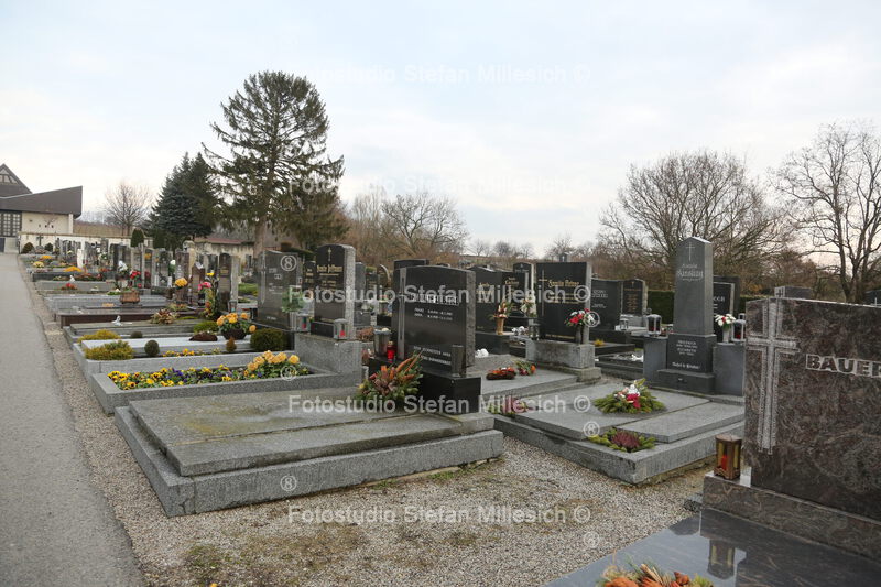 Friedhof 117