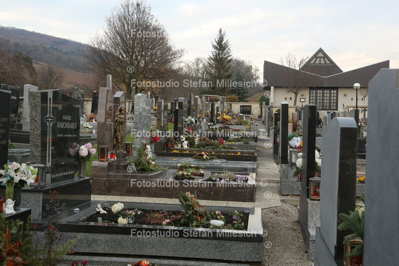Friedhof 120