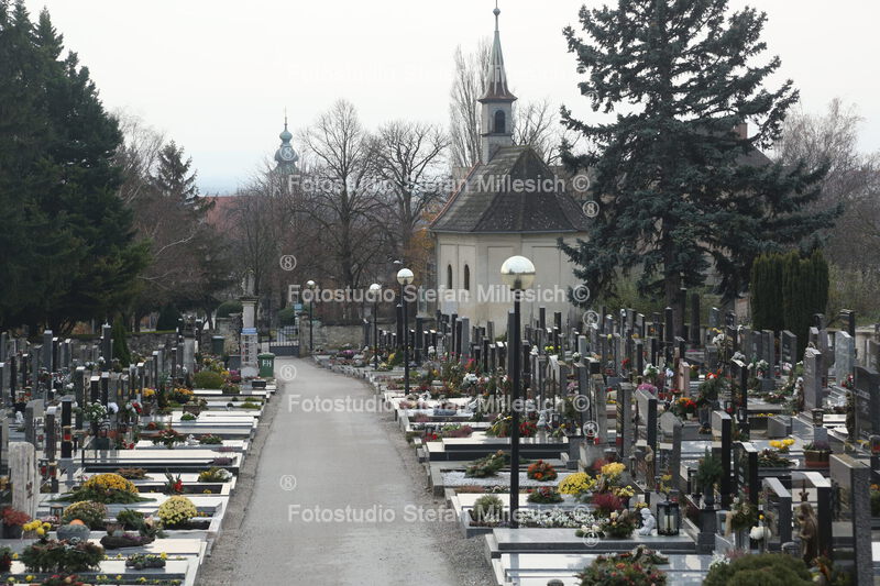 Friedhof 126
