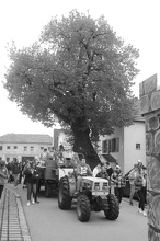 ss 0246 (21)