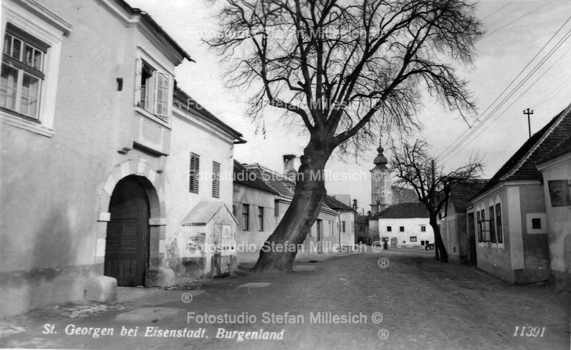 st georgen baum 1900 fb